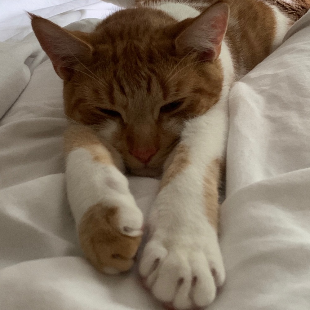 Meet your Posher, Margaret